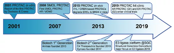 PROTACs development timeline